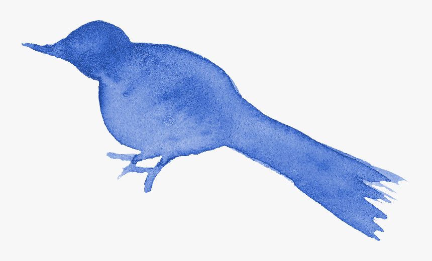 Watercolor Bird Silhouette Png - Blue Jay, Transparent Png