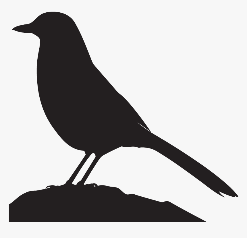 Grey Jay Silhouette, HD Png Download