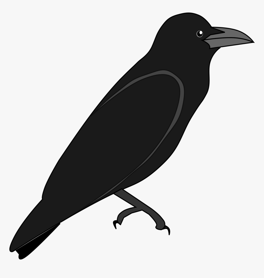 File Junglecrow Wikimedia Commons - Outline Image Of Crow, HD Png Download