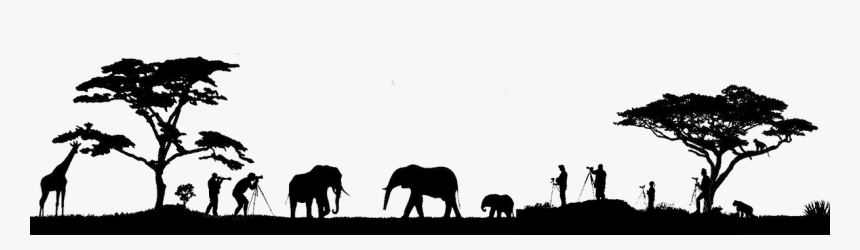 Indian Elephant Png Download Safari Silhouette Transparent Png Download Transparent Png Image Pngitem
