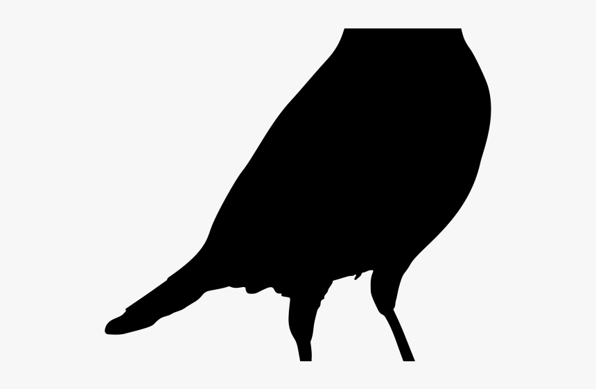 Perching Bird, HD Png Download