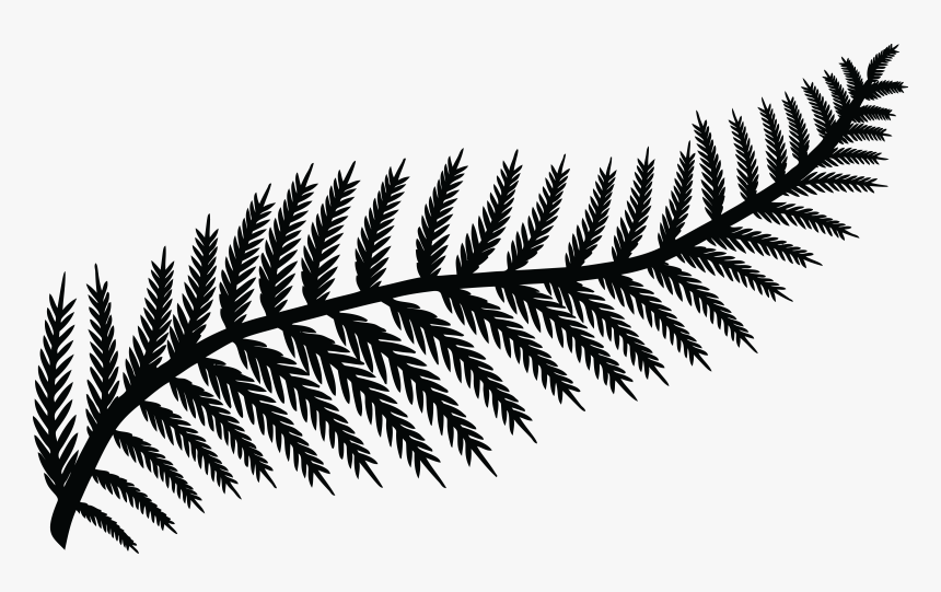 Transparent Leaf Clipart Black And White - Fern Leaf Silhouette, HD Png Download