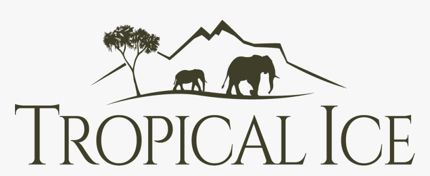 Indian Elephant, HD Png Download