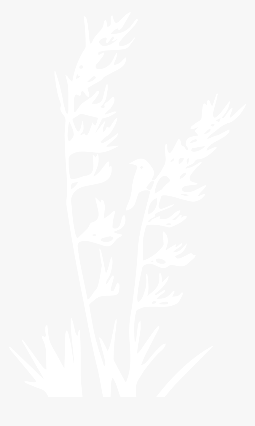 Nz Flax Plant Silhouette, HD Png Download