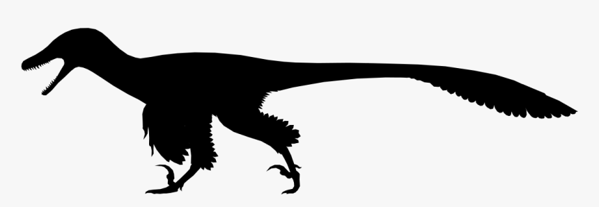 Scott Hartman Silhouette, HD Png Download