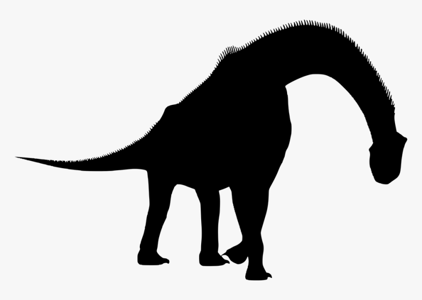 Silhouette, Dinosaur, Brachiosaurus, Walking, Full - Brachiosaurus Silhouette, HD Png Download
