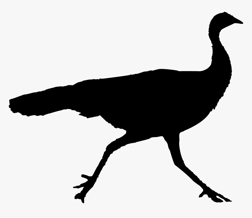 Turkey Silhouette Png Images, Transparent Png
