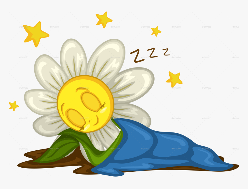 Sleeping Daisy, HD Png Download