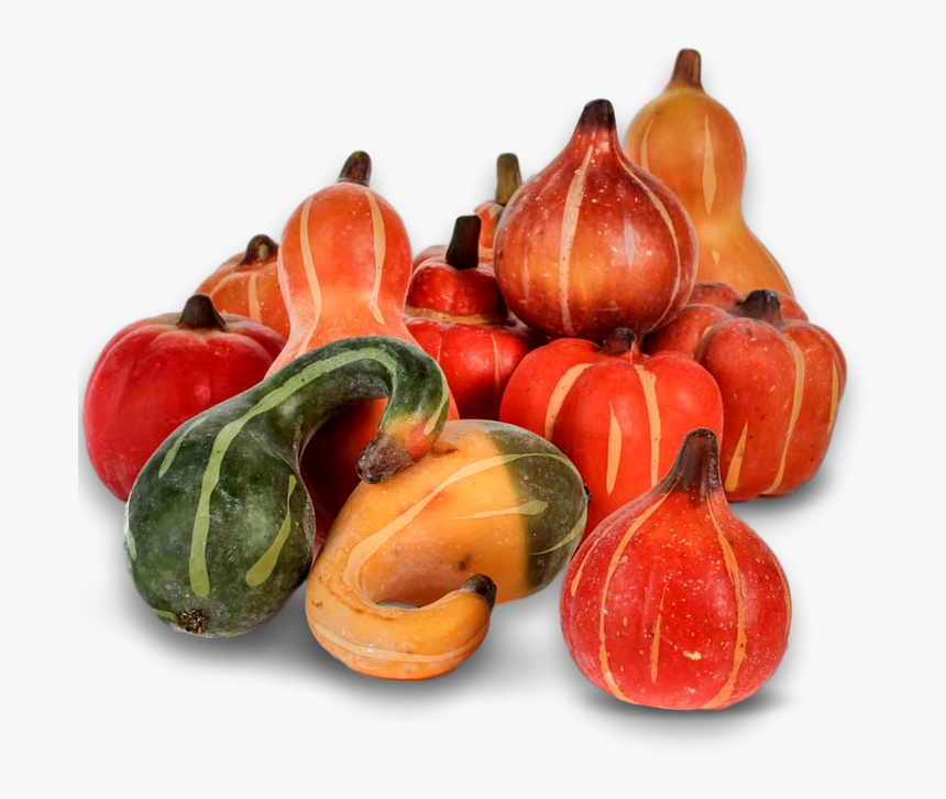 Pumpkin, Fall, Autumn, Harvest, Thanksgiving, Season - Calabaza, HD Png Download