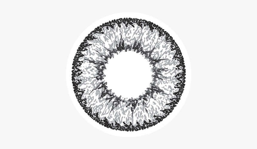 Geo Nudy Grey Lenses, HD Png Download