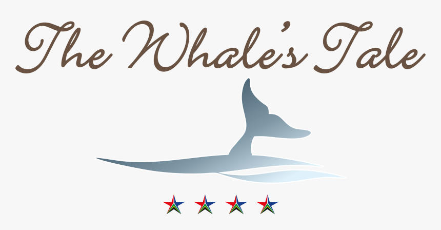 Hermanus Whale S Tail Guesthouse - Calligraphy, HD Png Download