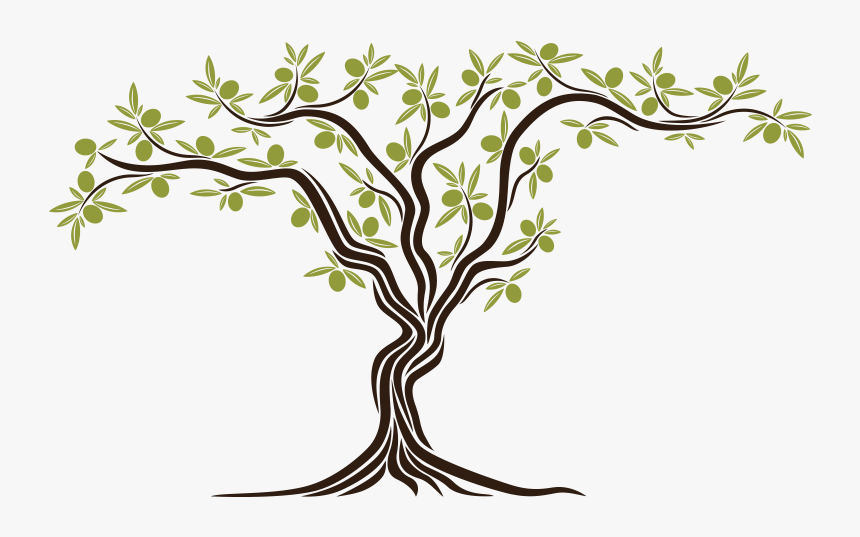 Afrin Aceites Maquiz Olive Oil Turkish Armed Forces - Olive Oil Tree Png, Transparent Png