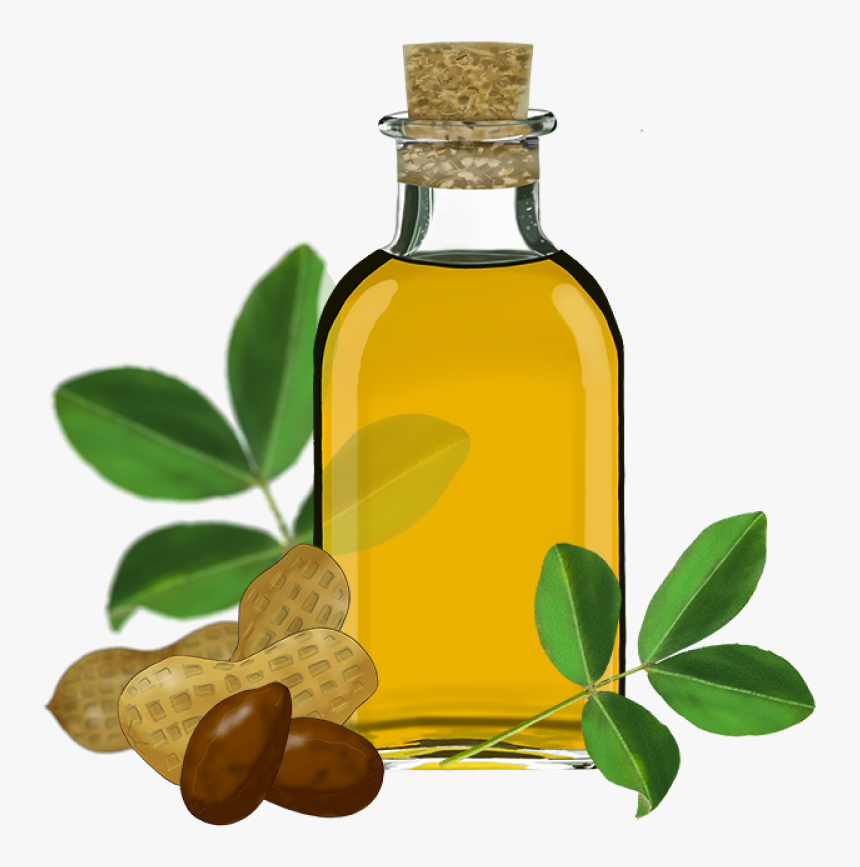 Oil Clip Art - Sesame Oil Transparent Background, HD Png Download