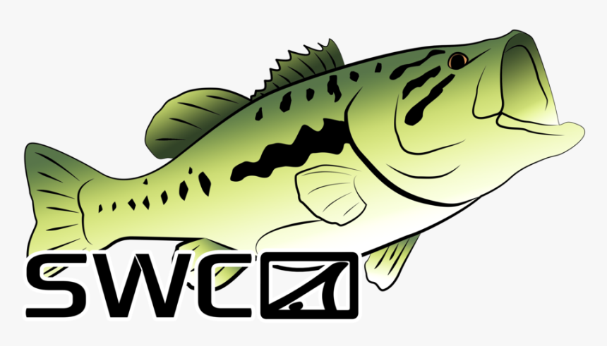 Skinny Water Culture, HD Png Download