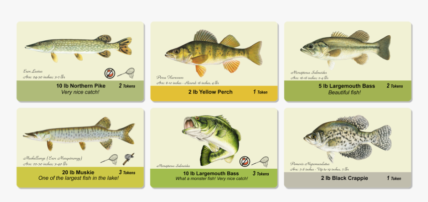 Picture - Lunge, HD Png Download