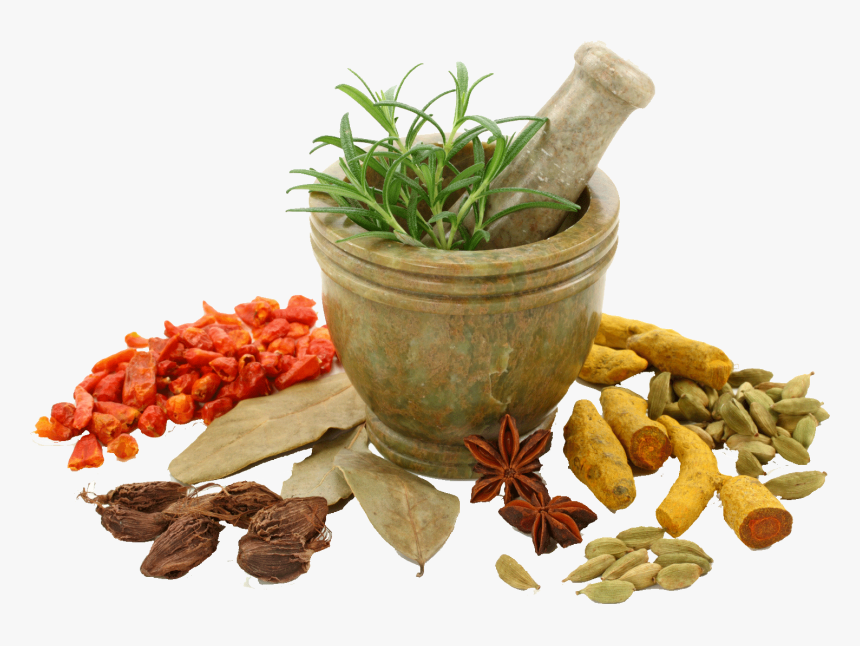 Spices Photo Png - Herbal Png, Transparent Png