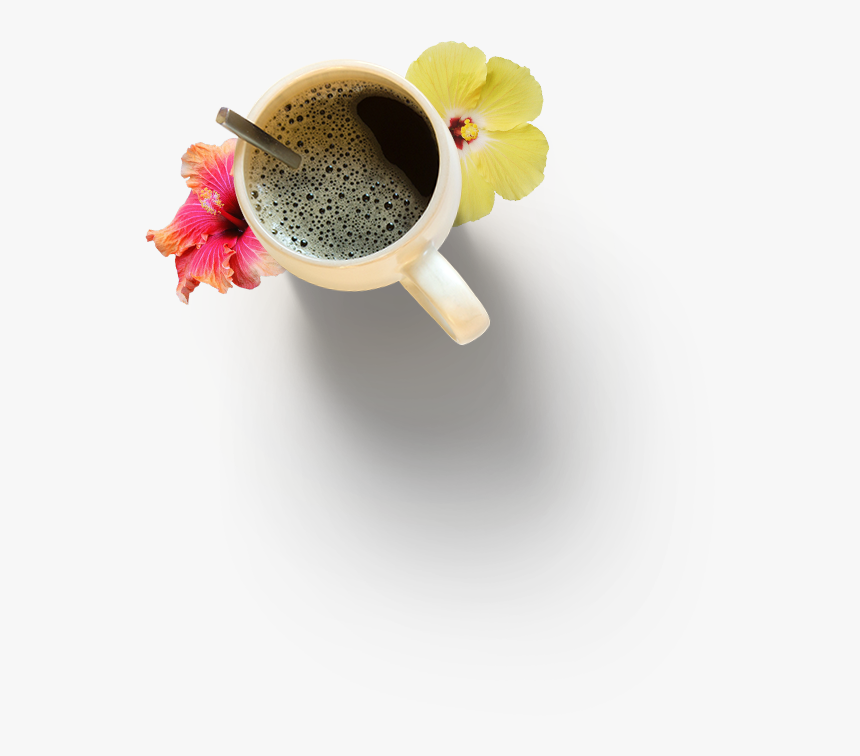 Transparent Coffe Png - Coffee Cup, Png Download