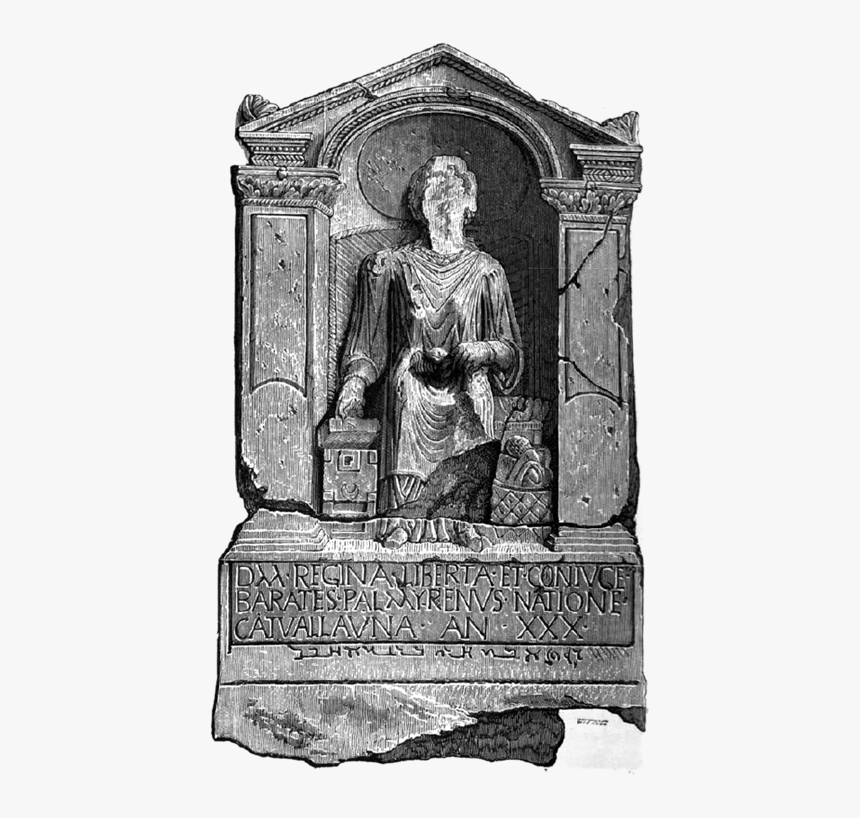 Rib - Barates Palmyrenus, HD Png Download