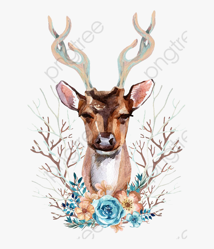Transparent Deer Antlers Clipart - Deer Front View, HD Png Download