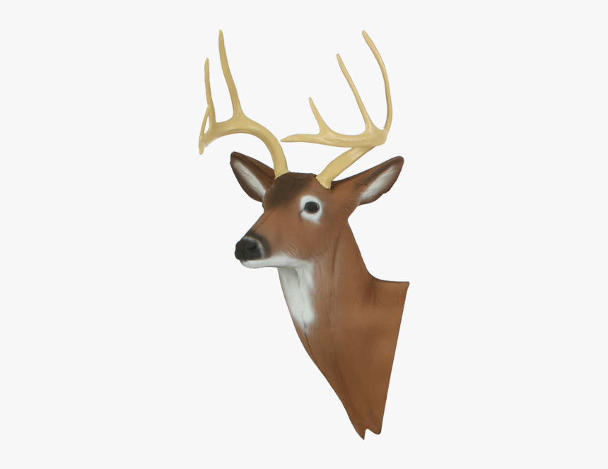 Delta Mckenzie - Reindeer, HD Png Download