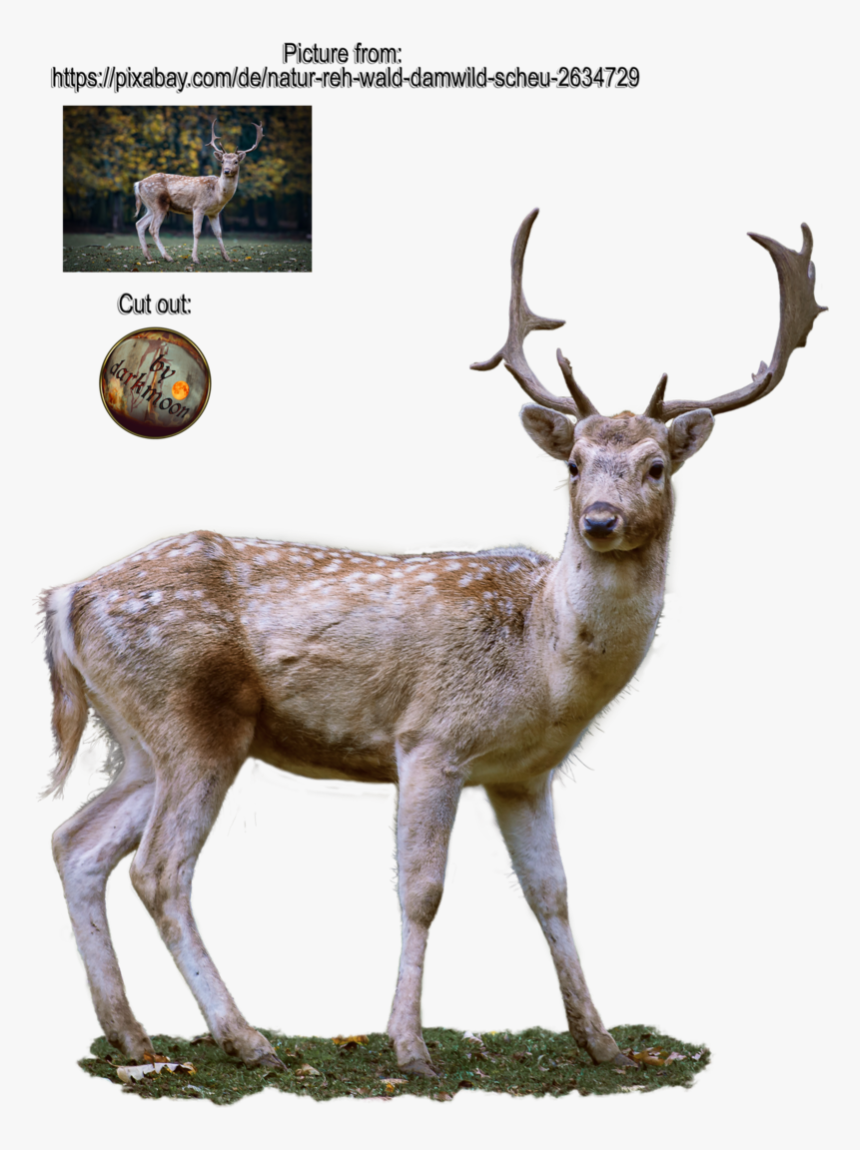 Janeeden 8 1 Reh, HD Png Download