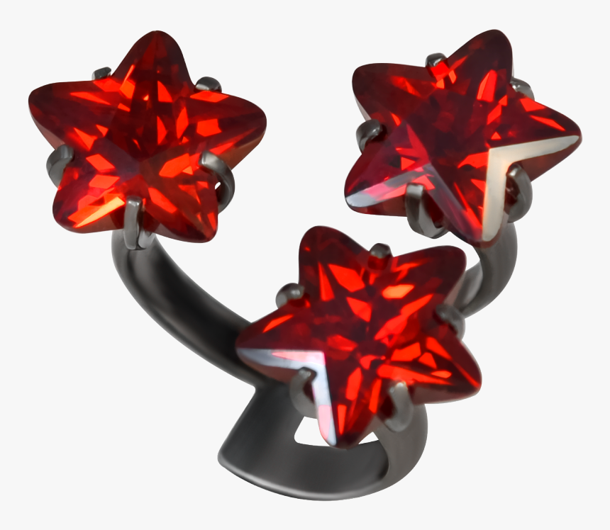 Sv2-13 - Hippeastrum, HD Png Download