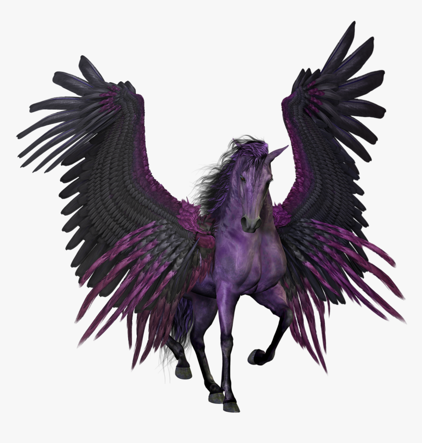 Pegasus, Flying, Winged, Horse, Pony, Myth - Black And Purple Pegasus, HD Png Download