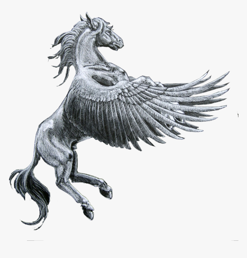 Pegasus Horse , Png Download - Pegasus Horse, Transparent Png
