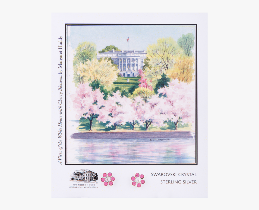 White House Cherry Blossoms Watercolor, HD Png Download