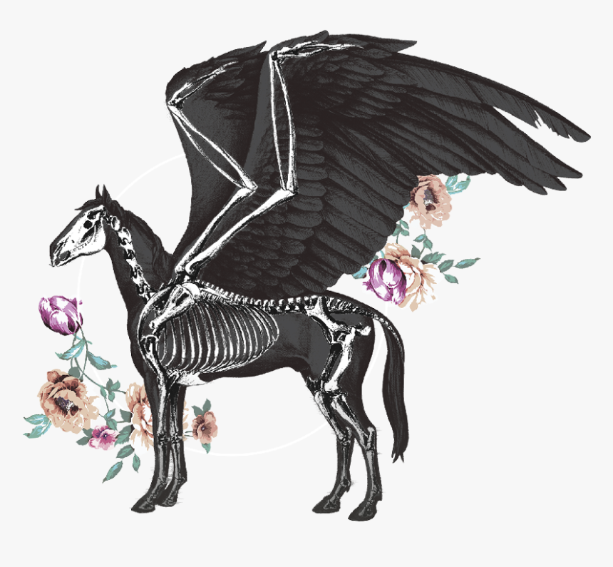 Illustration, HD Png Download