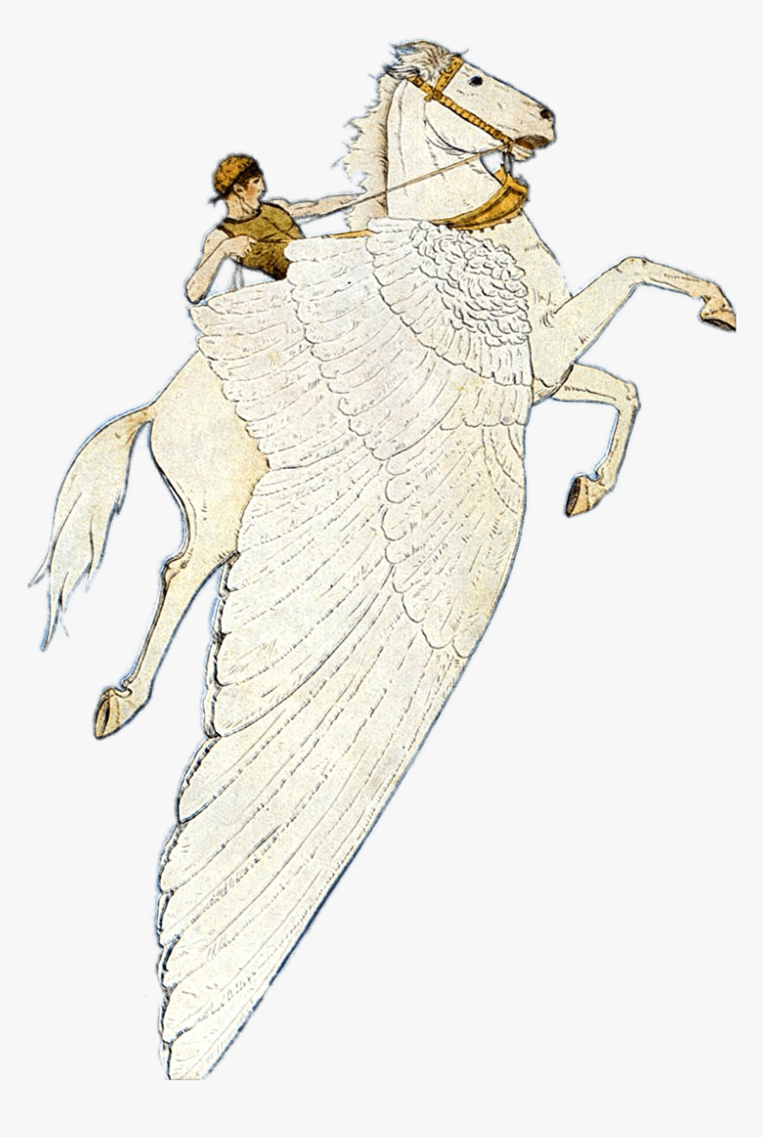 Pegasus Winged Horse - Illustration, HD Png Download