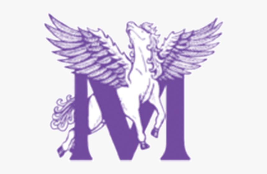 Angel, HD Png Download