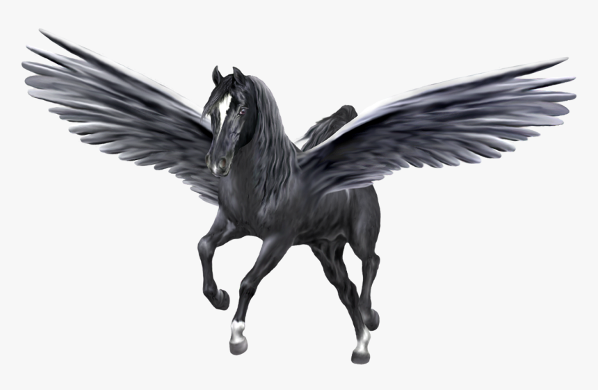 Unicorn Pegasus, HD Png Download