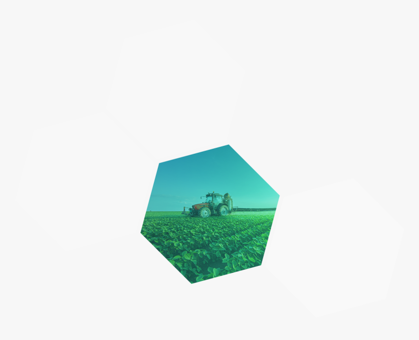 Transparent Pyramid Head Png - Grass, Png Download
