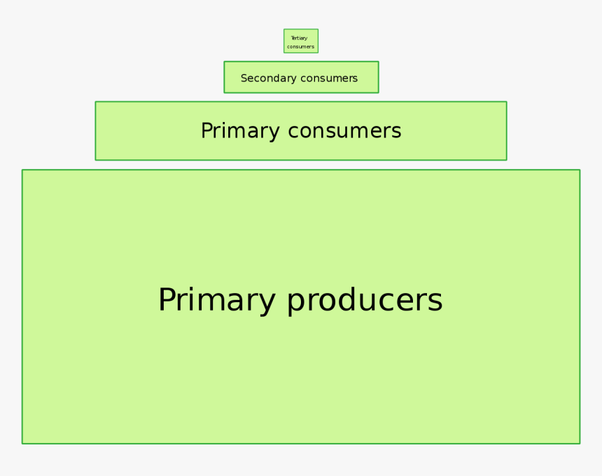 Generic Pyramid Of Energy, HD Png Download