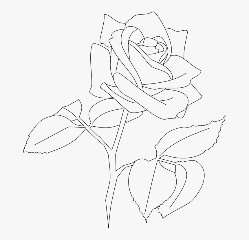 Art,symmetry,monochrome Photography - Flower Line Art Rose, HD Png Download