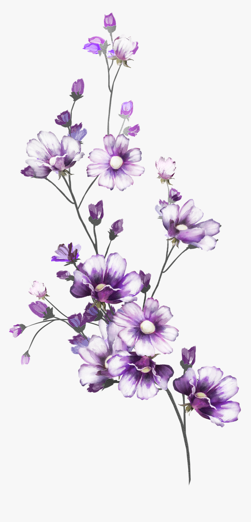 Flowers Line Art, HD Png Download