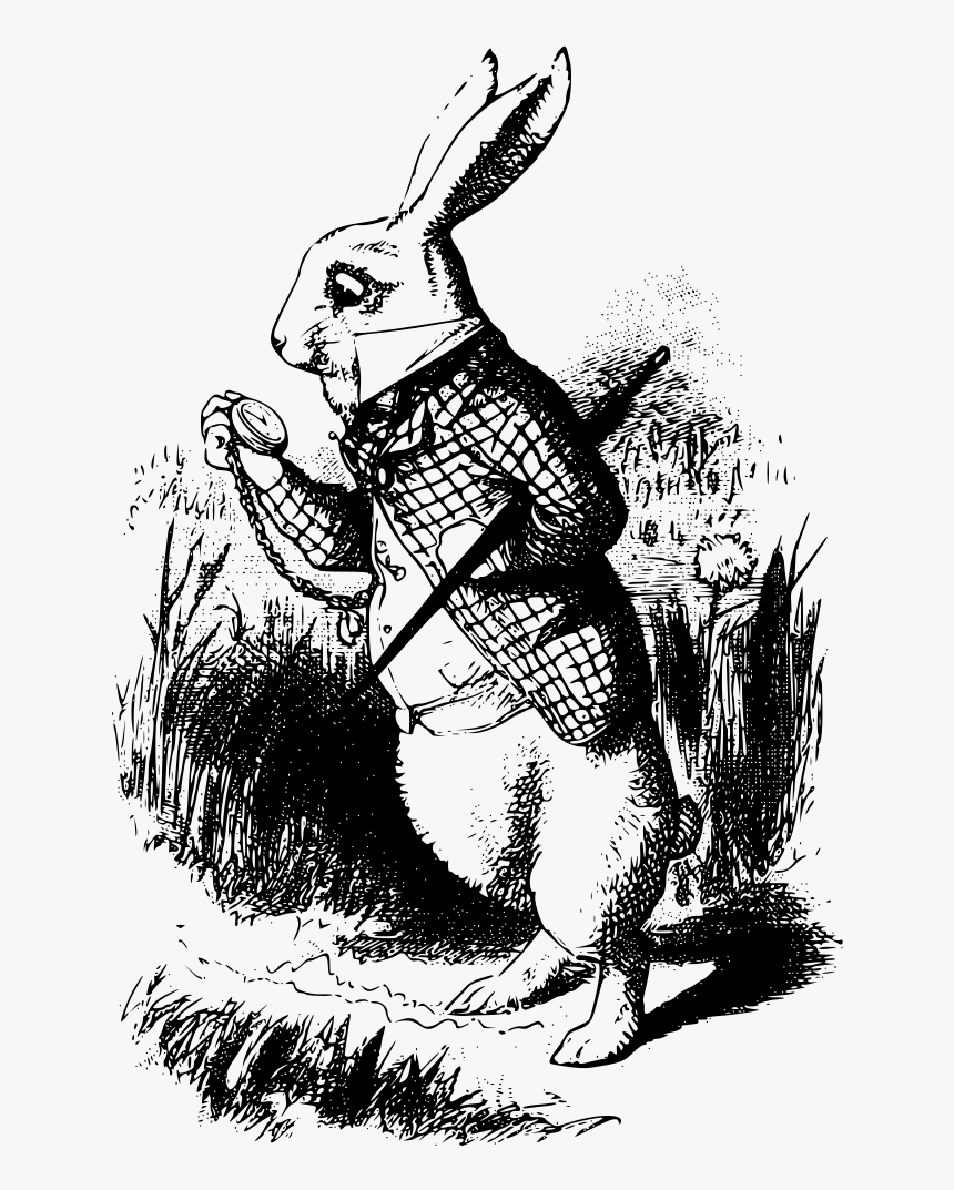 The White Rabbit - White Rabbit Alice In Wonderland Book, HD Png Download