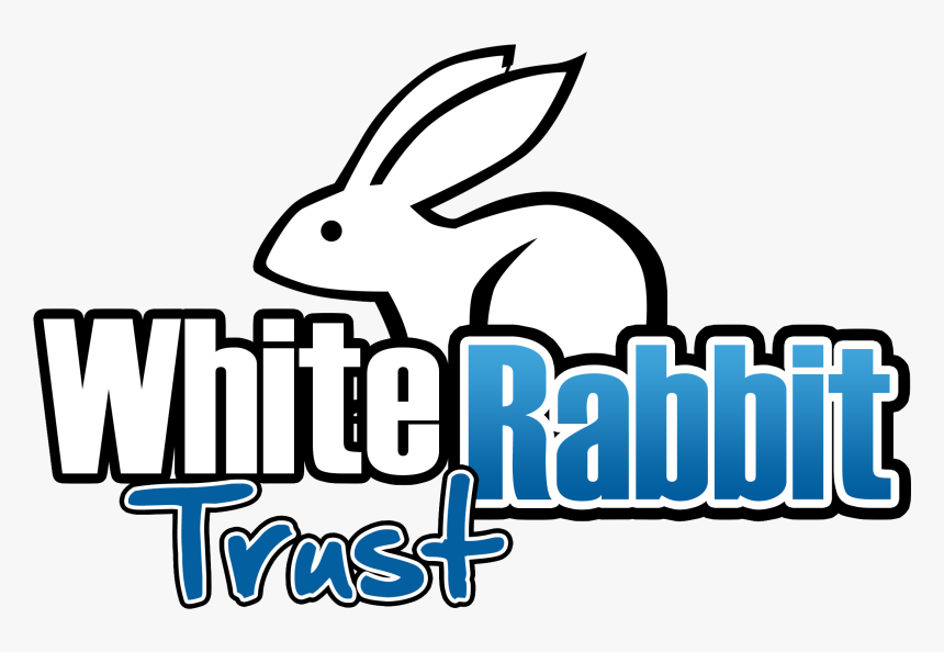 Domestic Rabbit, HD Png Download