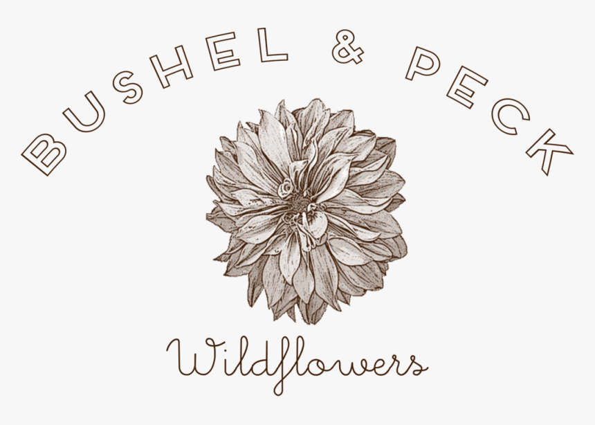 Websiteheaderbp - Line Art, HD Png Download