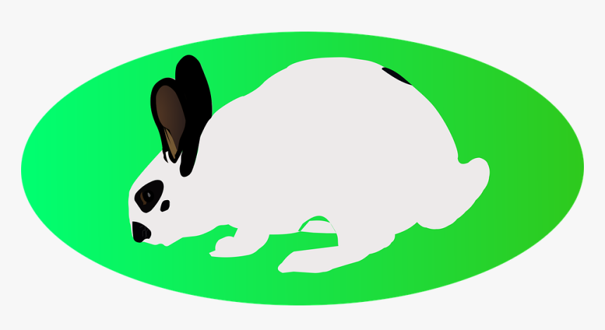 Easter, White Rabbit, Green Ellipse, Long Eared - Cartoon, HD Png Download