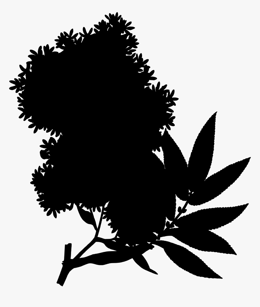 African Redwood Clip Arts - Hagenia Abyssinica Flowers, HD Png Download