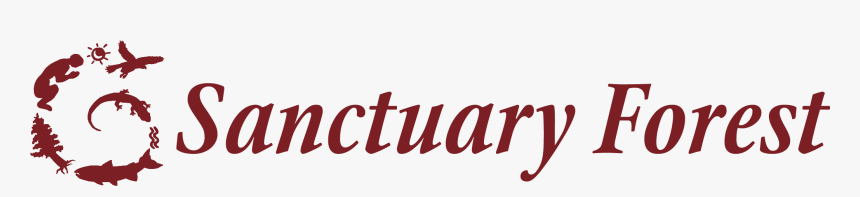 Calligraphy, HD Png Download