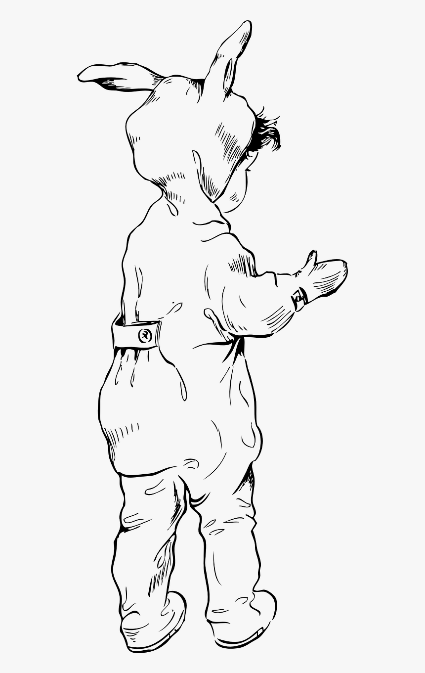 Rabbit, HD Png Download