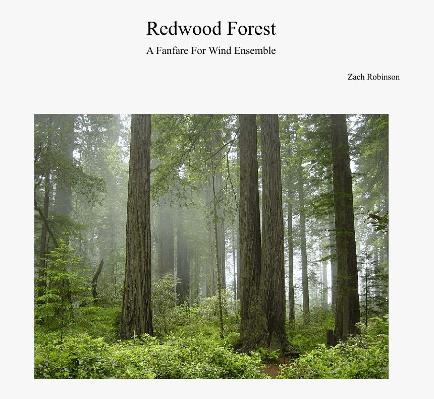 Forest National Park In Us, HD Png Download