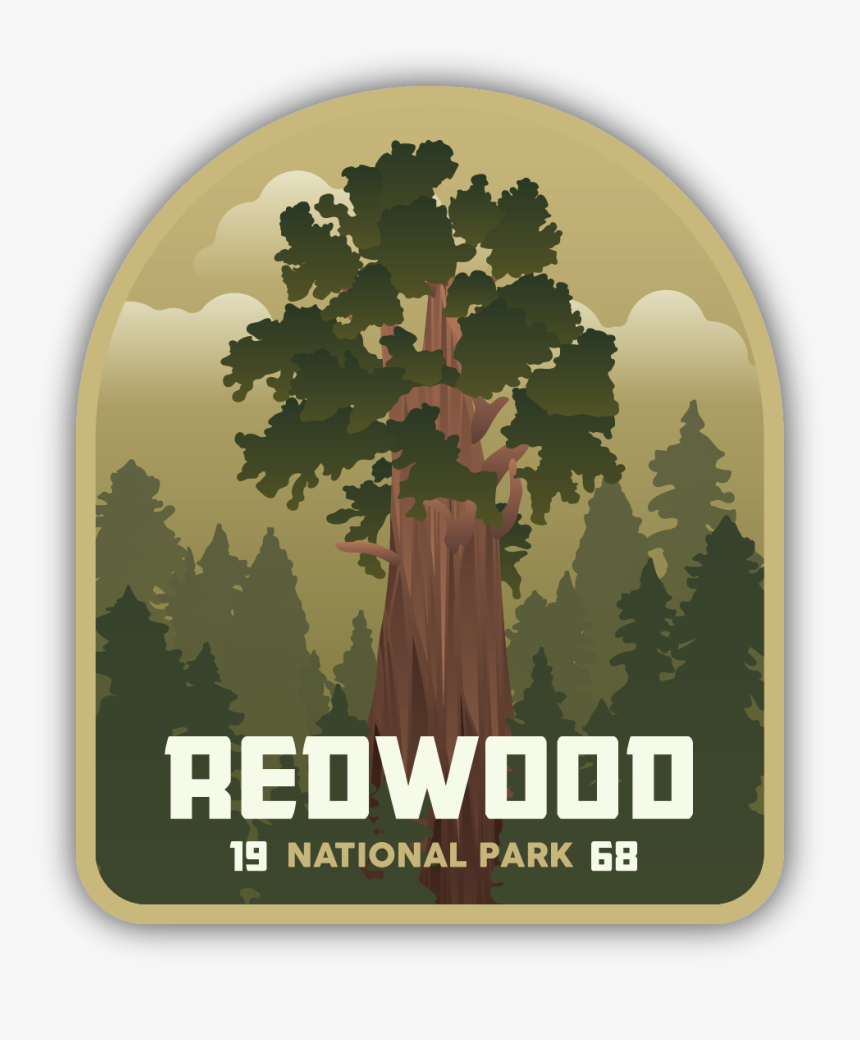 Redwood National Park Sticker - Gambel Oak, HD Png Download