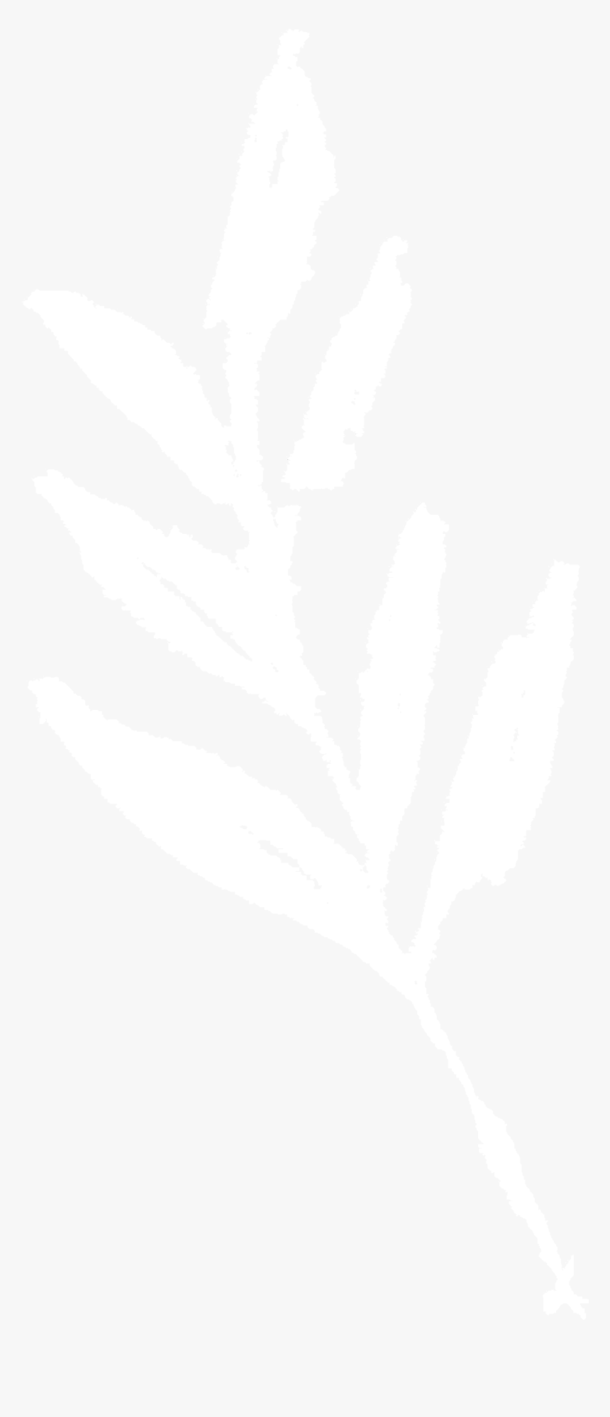 Johns Hopkins Logo White, HD Png Download