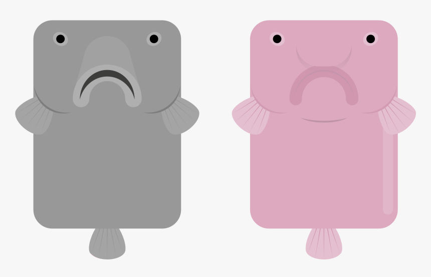 Iphone, HD Png Download