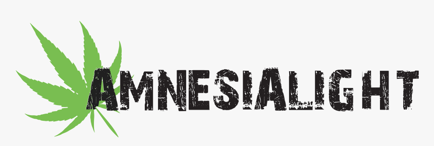 Amnesia Light - Graphic Design, HD Png Download