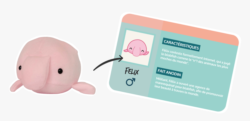Banniere Blobfish - Baby Toys, HD Png Download